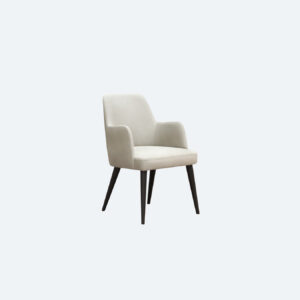 SWAN CHAIR